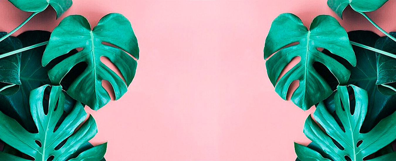 Tendências para casamentos 2019 - o que está em alta - Casamento.ilhabela.com.br