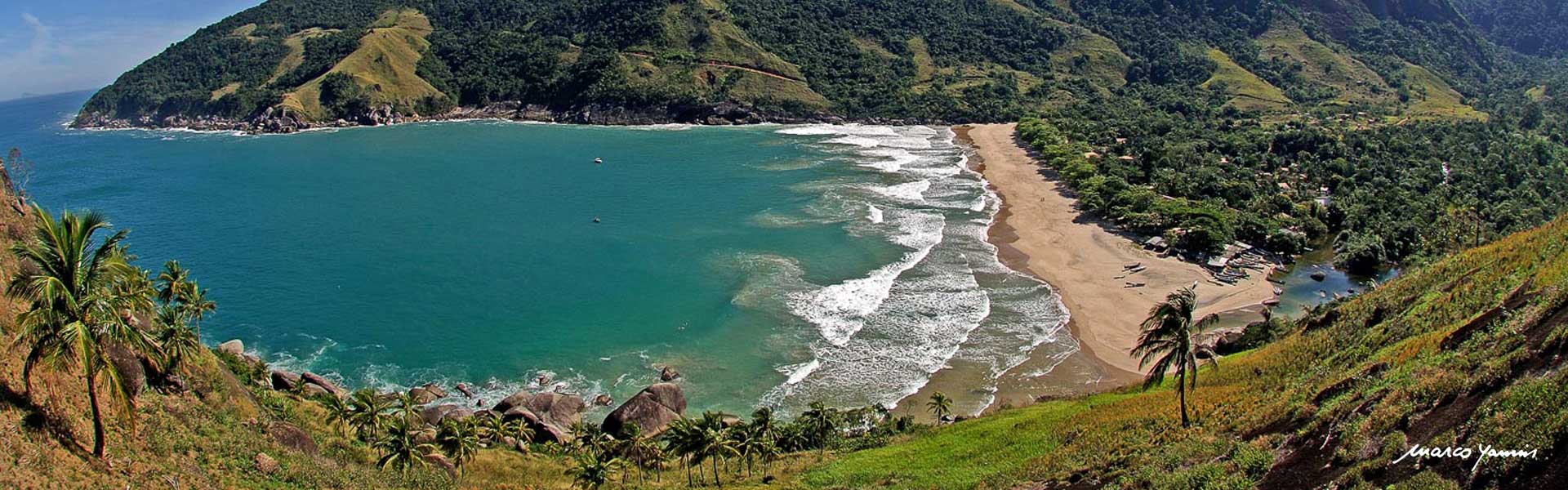 Imagem Alt