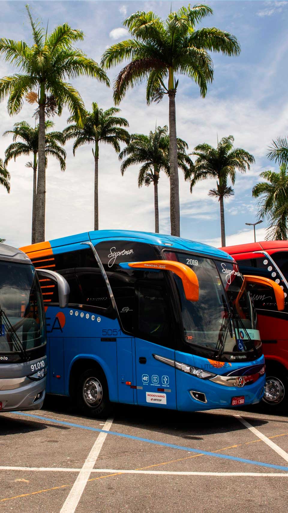 viacao-passaro-marrom-litoranea-como-chegar-em-ilhabela-de-onibus Viação Pássaro Marrom Litorânea - Como chegar em Ilhabela de ônibus saindo de São Paulo